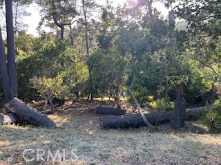 Large Lodge Hill parcel with forest and distant mountain views. Gently sloping lot on a low traffic road. Lots of deer & wild turkey roaming about as well as an abundant variety of birds. If you like a quiet, sunny, above the fog location this is it! Buy and hold for now until the current building moratorium for new construction is lifted. Check CCSD and county websites (cambriacsd.org & slocounty.ca.gov) for info on the moratorium and allowable uses for property.