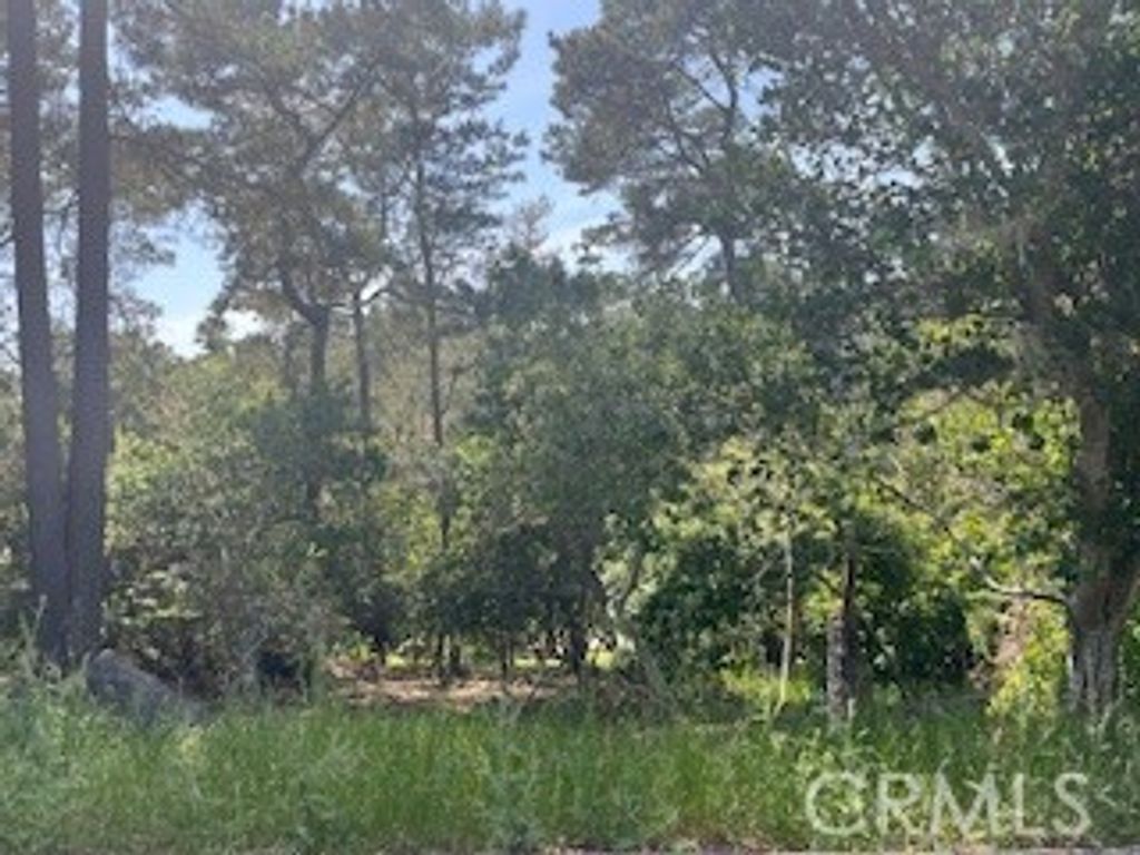 listing image 130721184615129887283