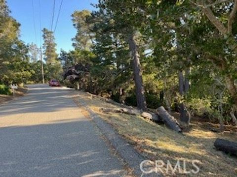 Tiny photo for 0 Bradford Road, Cambria, CA 93428 (MLS # SC25109618)