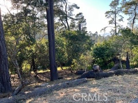 Tiny photo for 0 Bradford Road, Cambria, CA 93428 (MLS # SC25109618)
