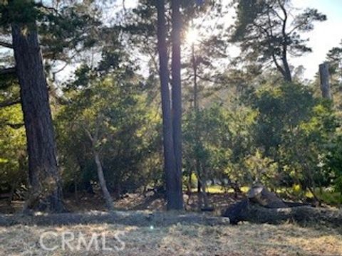 Tiny photo for 0 Bradford Road, Cambria, CA 93428 (MLS # SC25109618)