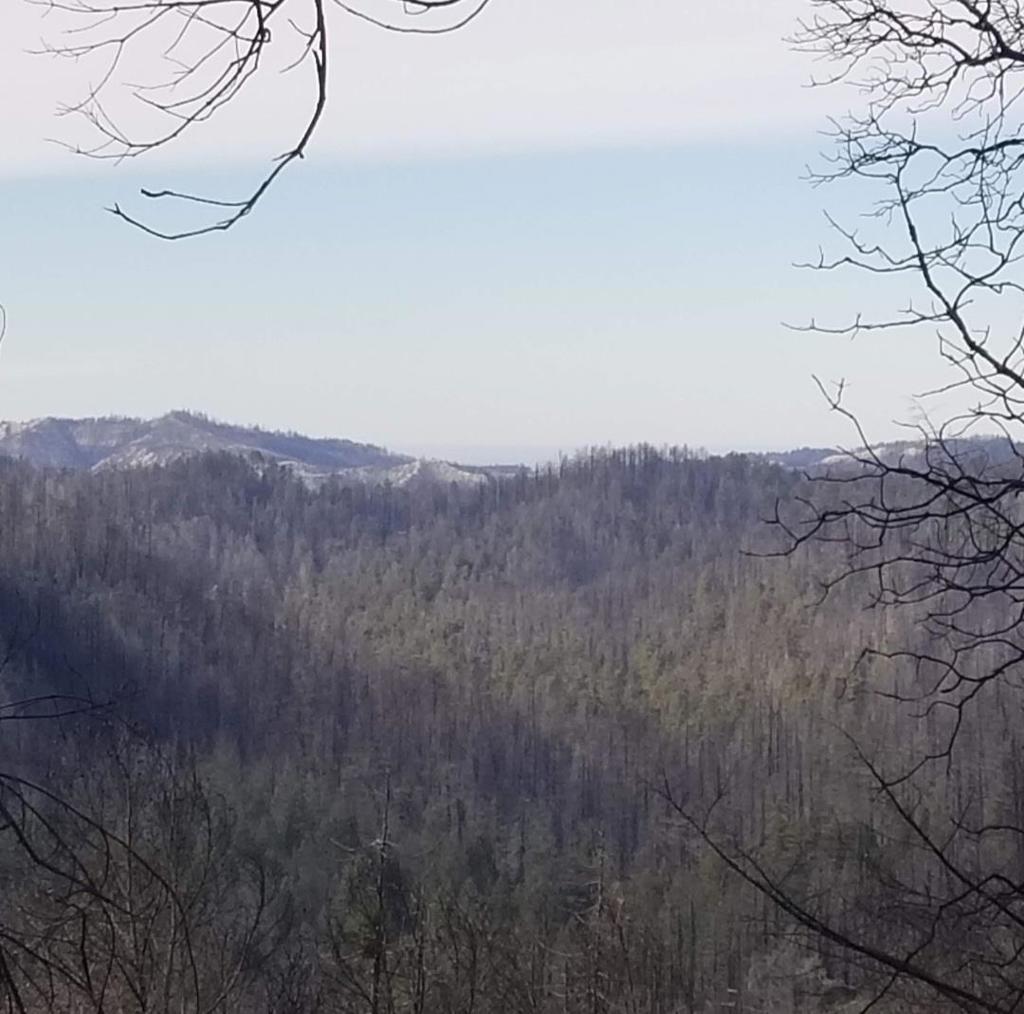 11.441 Quiet and beautiful acres next to Big Basin State Park. The property shares approximately 1,700 feet of property line with Big Basin State Park according to the seller. There are 2 seperate lots being sold together. The main lot with the old home site, domestic water well and septic is APN # 086-521-02 and is 1.492 Acres. The home was lost in the CZU fire. The 2nd adjoining lot is APN # 086-631-14 and is 9.949 Acres. Together for a total of 11.441 Acres. The septic has passed the Sale inspection. 2 Wells on the property have been repaired. There is a paved road and driveway all the way to the home site. The property has many flat or low slope useable areas.
