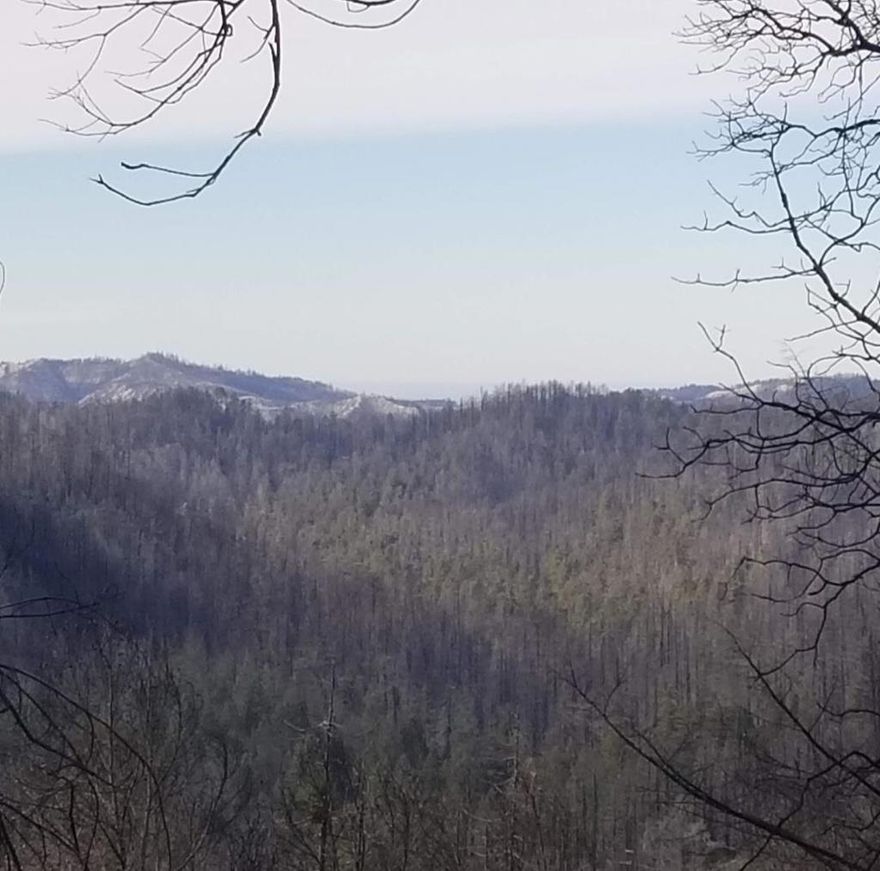 11.441 Quiet and beautiful acres next to Big Basin State Park. The property shares approximately 1,700 feet of property line with Big Basin State Park according to the seller. There are 2 seperate lots being sold together. The main lot with the old home site, domestic water well and septic is APN # 086-521-02 and is 1.492 Acres. The home was lost in the CZU fire. The 2nd adjoining lot is APN # 086-631-14 and is 9.949 Acres. Together for a total of 11.441 Acres. The septic has passed the Sale inspection. 2 Wells on the property have been repaired. There is a paved road and driveway all the way to the home site. The property has many flat or low slope useable areas.