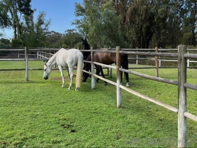 Rancho Santa Fe - Residential