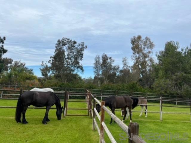 Rancho Santa Fe - Residential