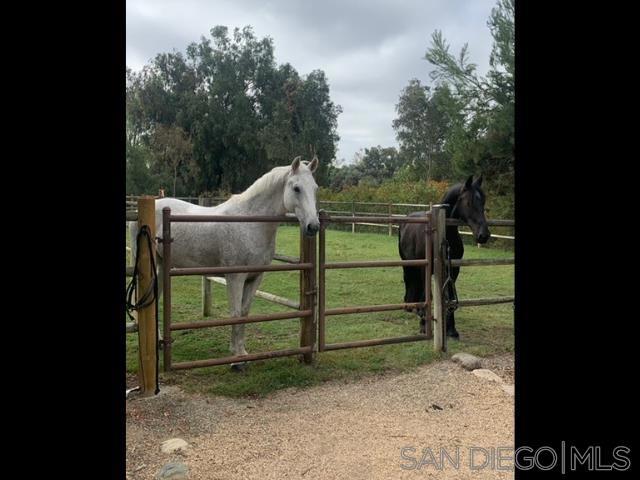 Rancho Santa Fe - Residential