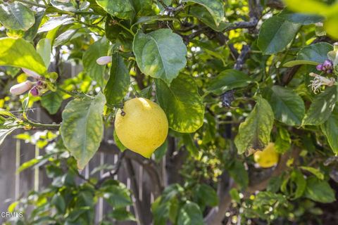 Tiny photo for 9417 Petit Court, Ventura, CA 93004 (MLS # V1-35241)