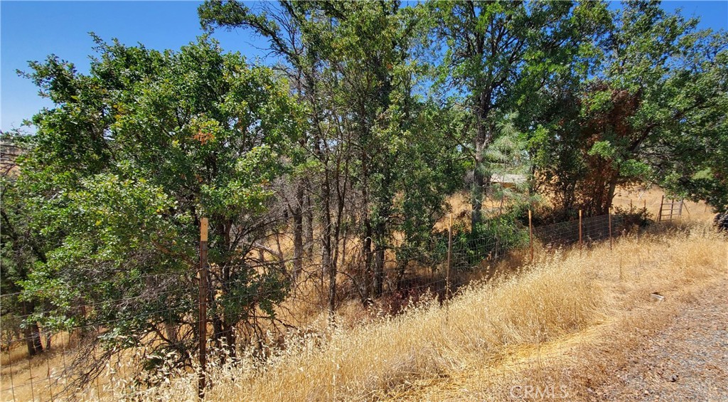 15615 Oakridge Road