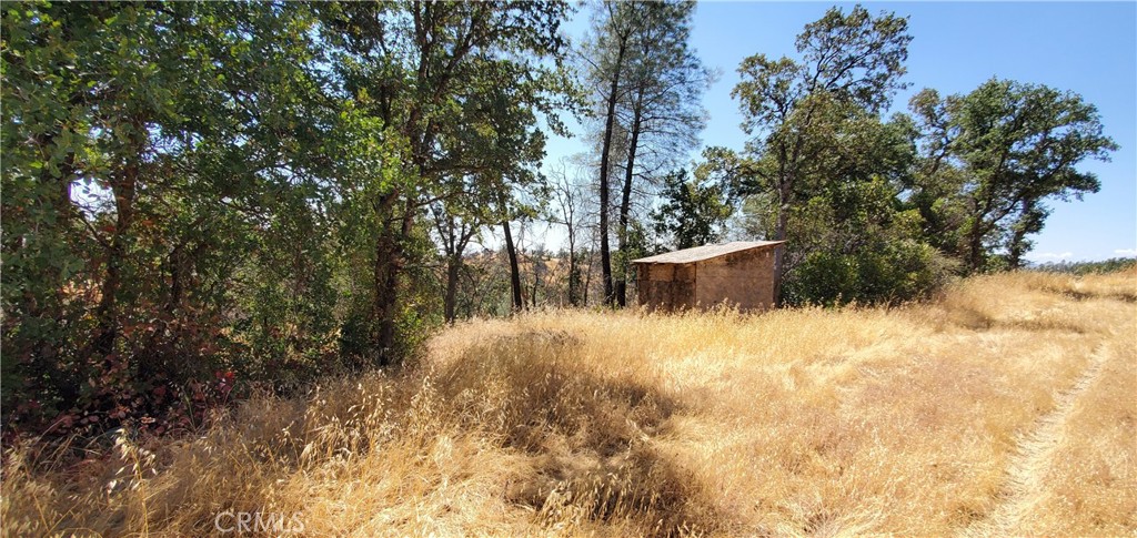 15615 Oakridge Road