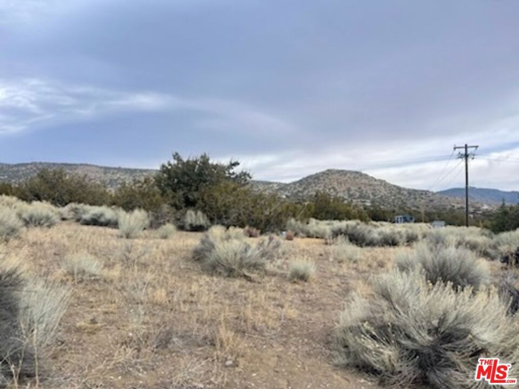 listing image 130724445743392663444