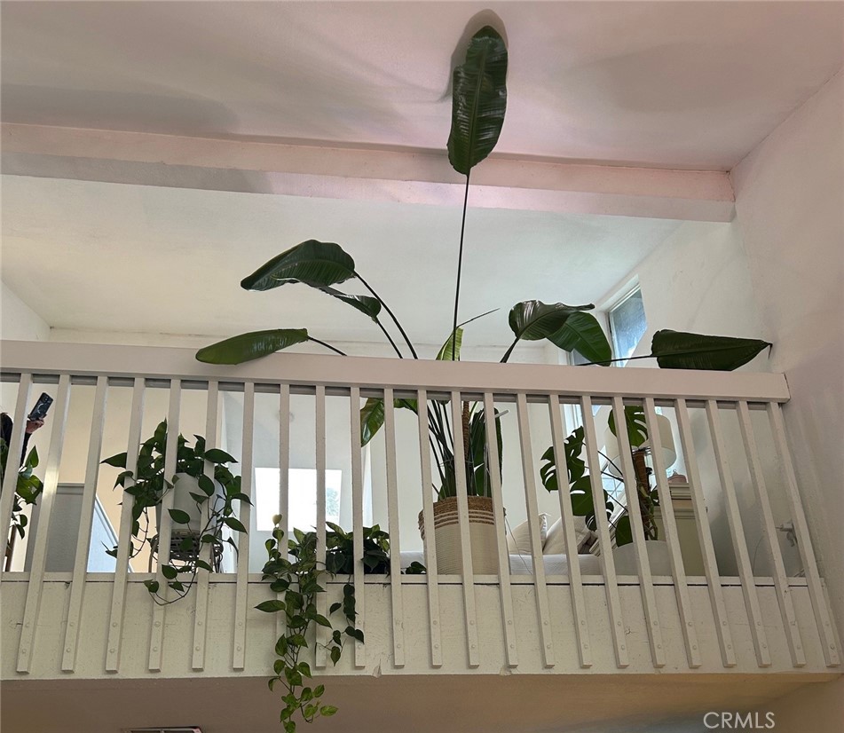 25579 Pine Creek Lane