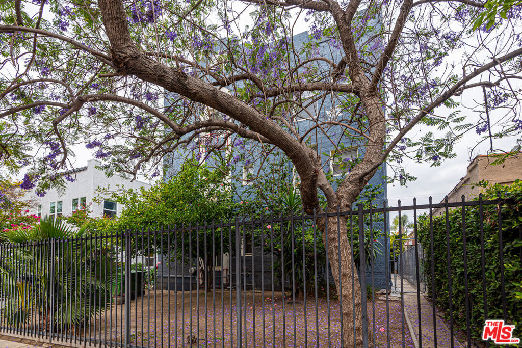 1131 Lodi Place