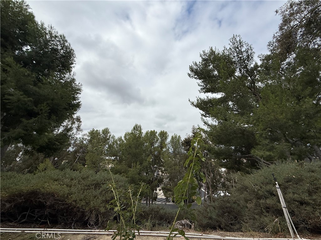 Las Palmas (BLP) - Residential Lease