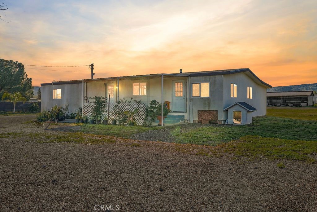 31721 Meadow Blossom