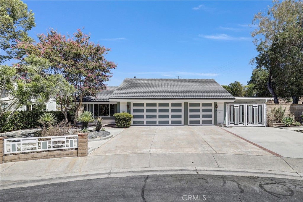 25495 Morningstar