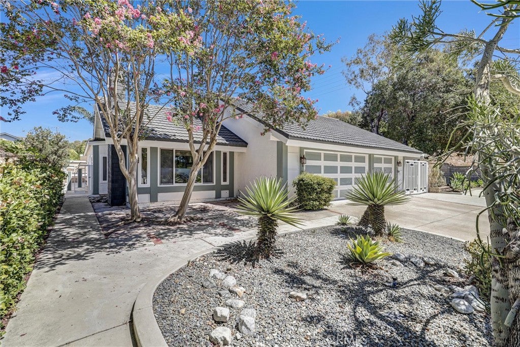 25495 Morningstar