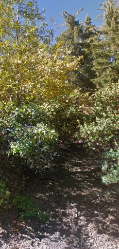 All offers considered. Lake rights Lot. Close to the lake and Blue Jay. 0.18 acres (7943 Sq Ft). You can build the home you've always dreamed of in beautiful Lake Arrowhead, CA! Comfortably situated amongst the peaceful landscape of the San Bernardino Mountains, this picturesque lot offers a unique opportunity to create your own mountain getaway in the desired Lake Arrowhead community. Escape the pressures of city life and engulf yourself with the tranquility of nature in this unparalleled Arrowhead Woods setting.