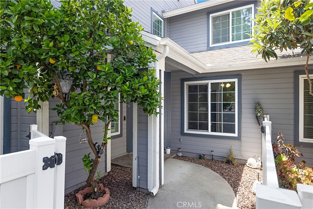 326 Monroe Court