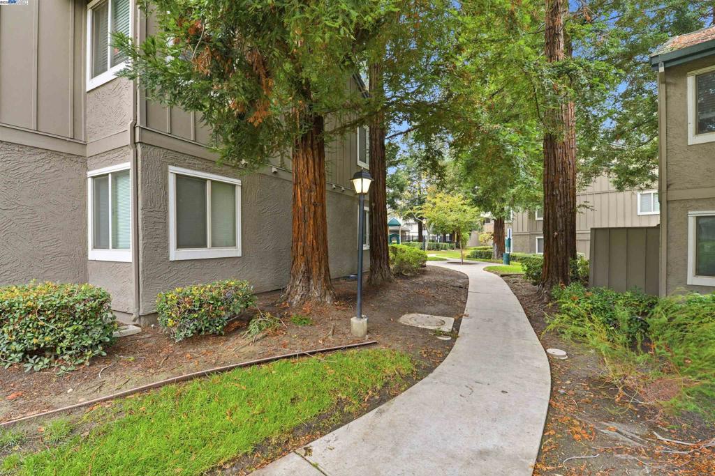 LOS MEDANOS - Residential