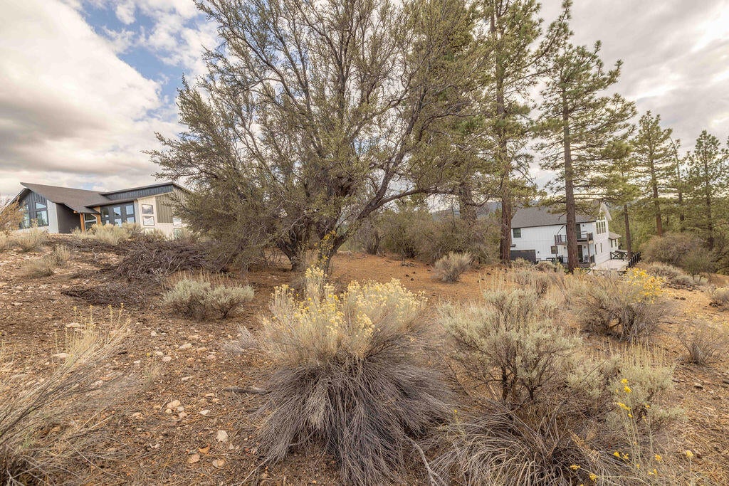509 Woodbridge Drive