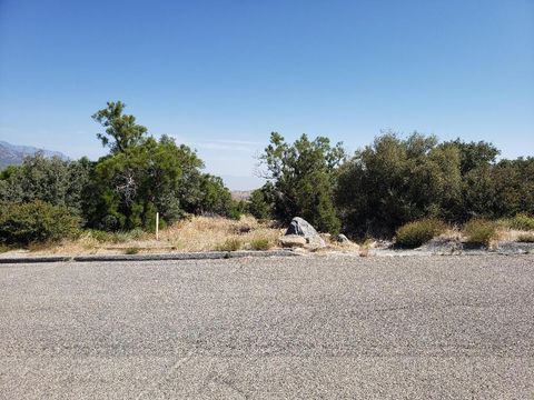 0 Ribbonwood Drive Mountain Center CA 92561