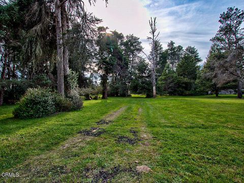 Photo of 19100 Summers Lane, Fort Bragg, CA 95437 (MLS # C1-11314)