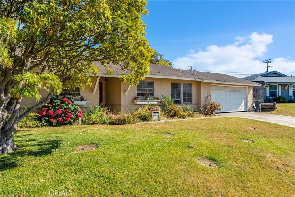 1146 George Drive