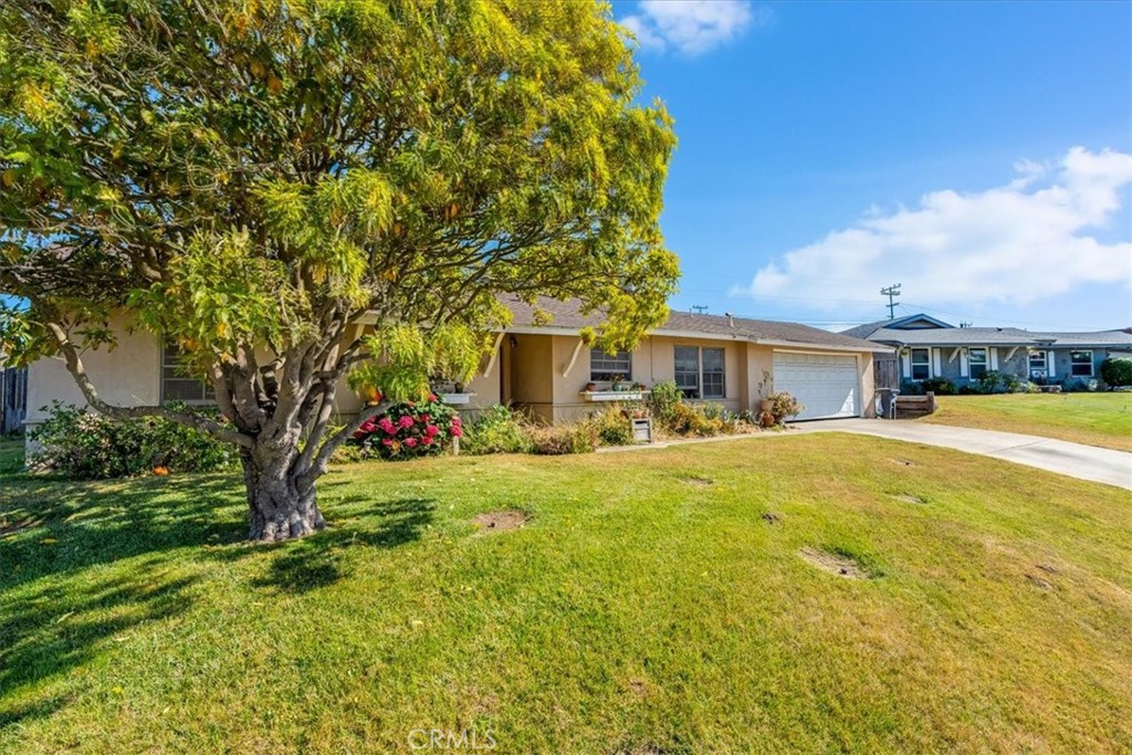 1146 George Drive