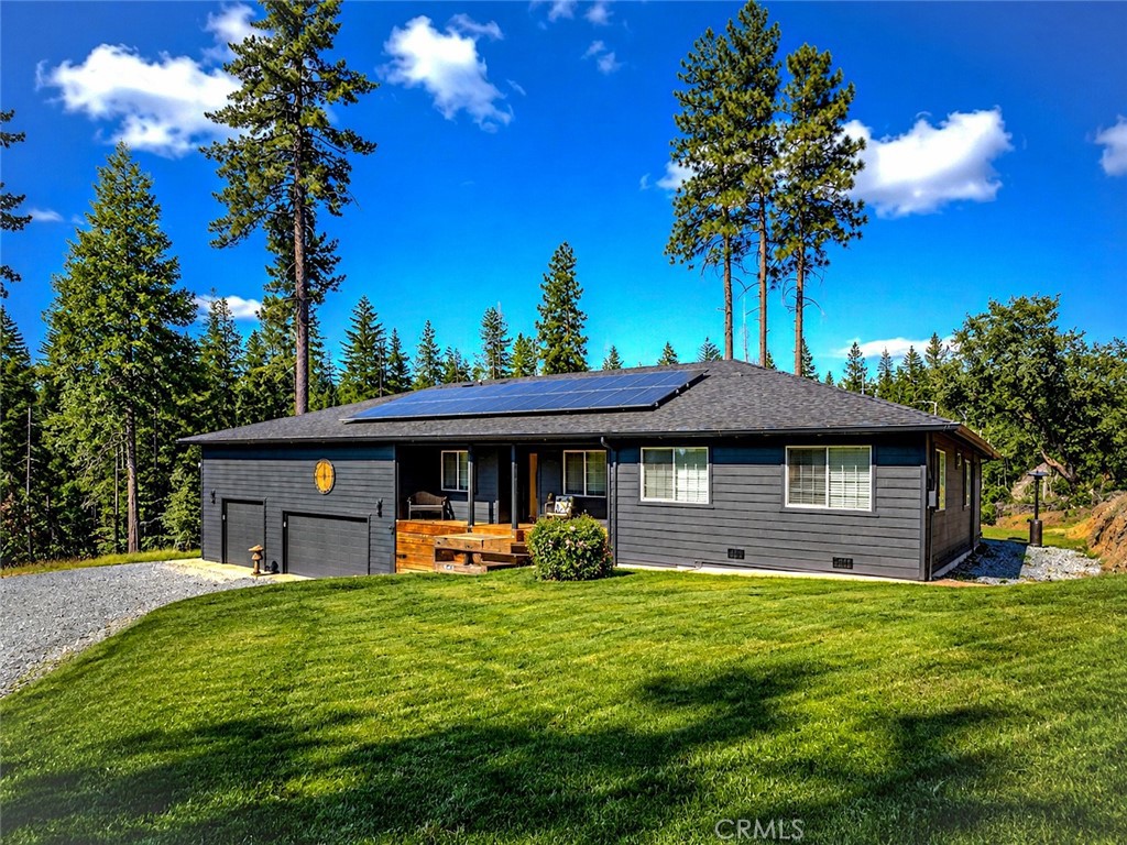 5999 Sugar Pine