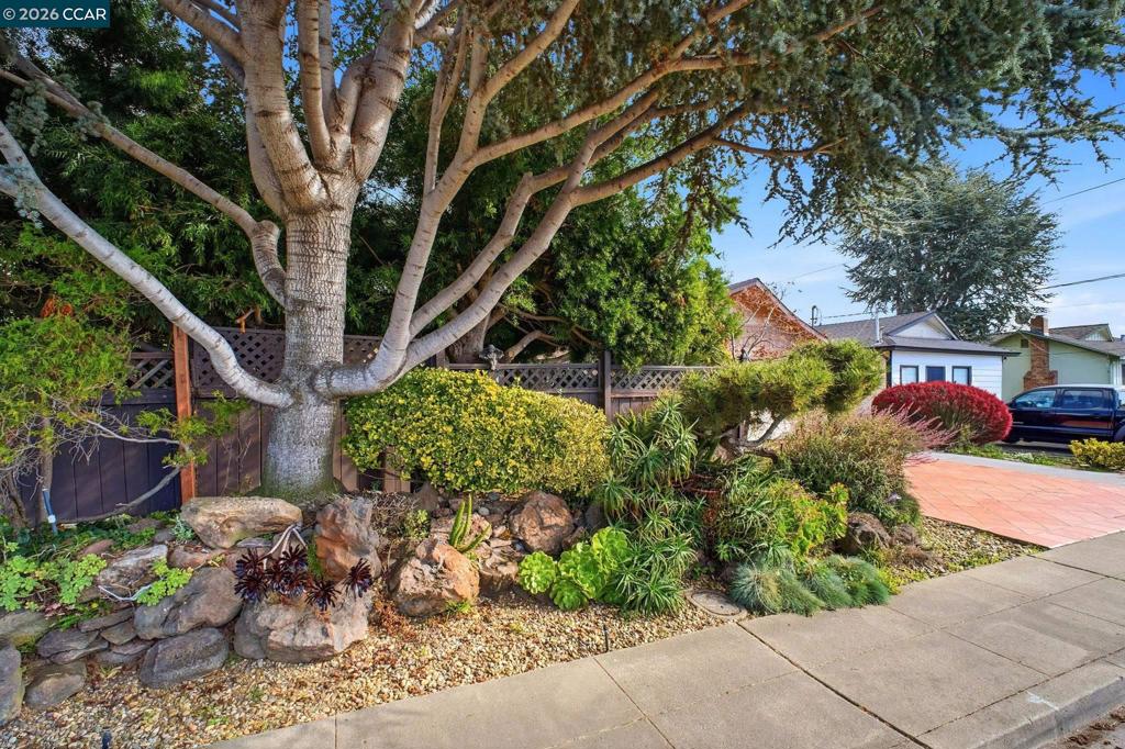 16132 16132 Via Catherine