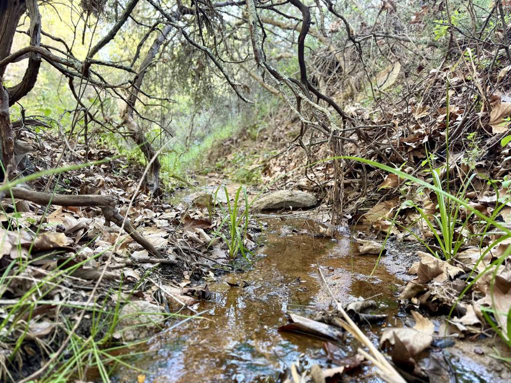 0 Mt Olympus Valley Road