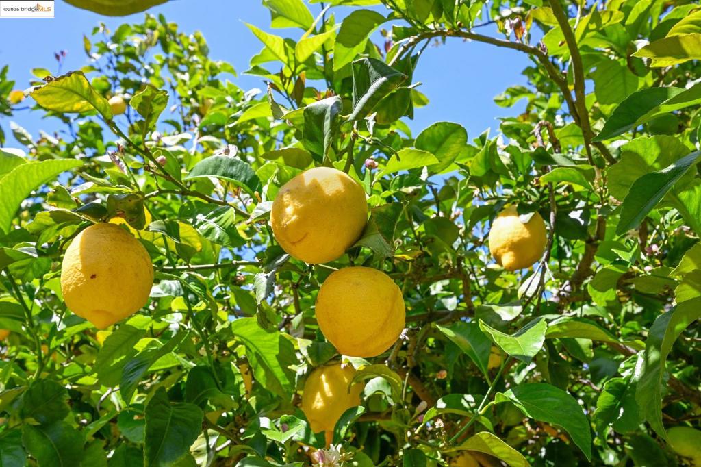 EL SOBRANTE - Residential