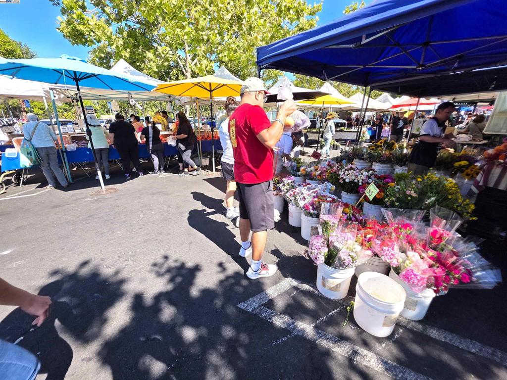 SOBRANTE PARK - Residential