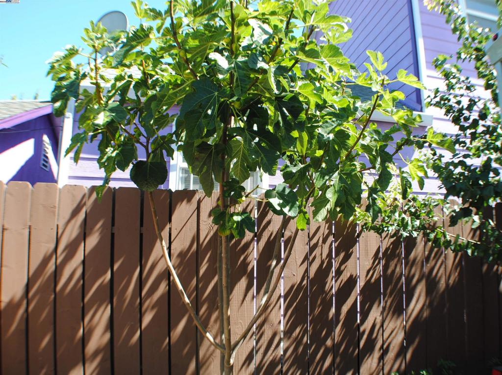 SOBRANTE PARK - Residential