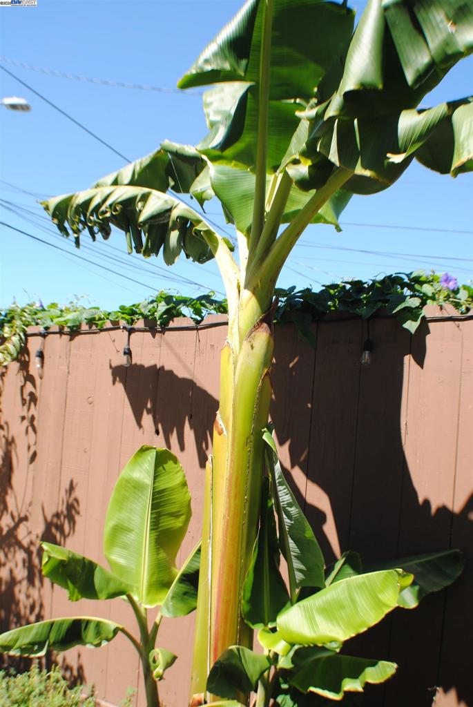 SOBRANTE PARK - Residential