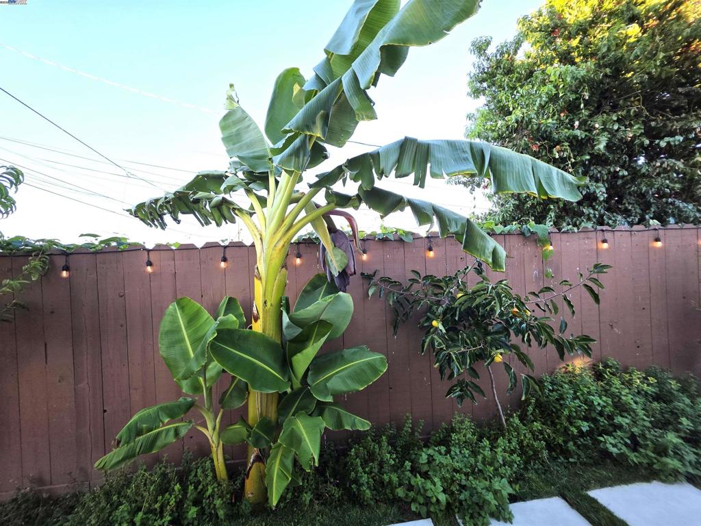 SOBRANTE PARK - Residential