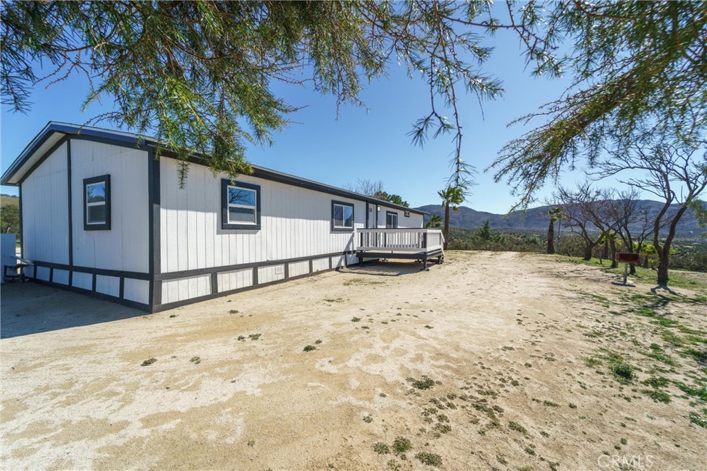 53984 Daniela Street