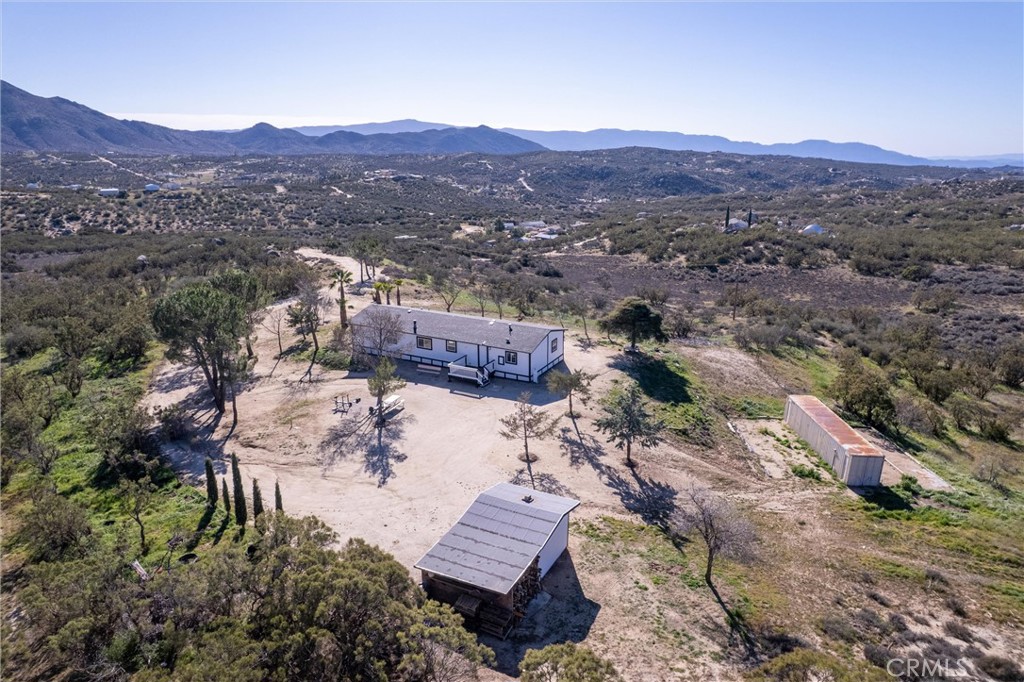 53984 Daniela Street