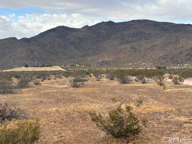 0 Del Oro