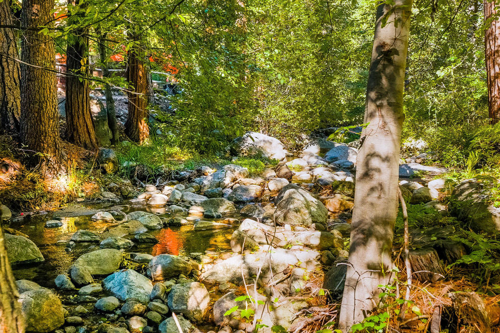 Not Applicable-1 - Residential