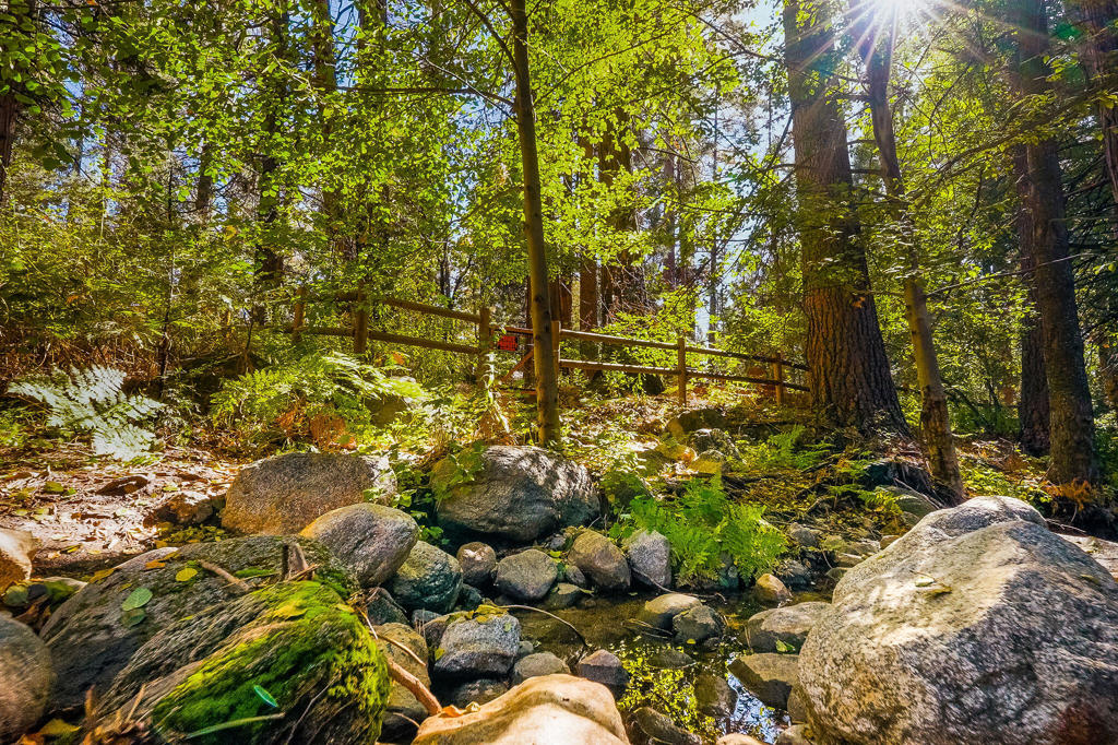 Not Applicable-1 - Residential