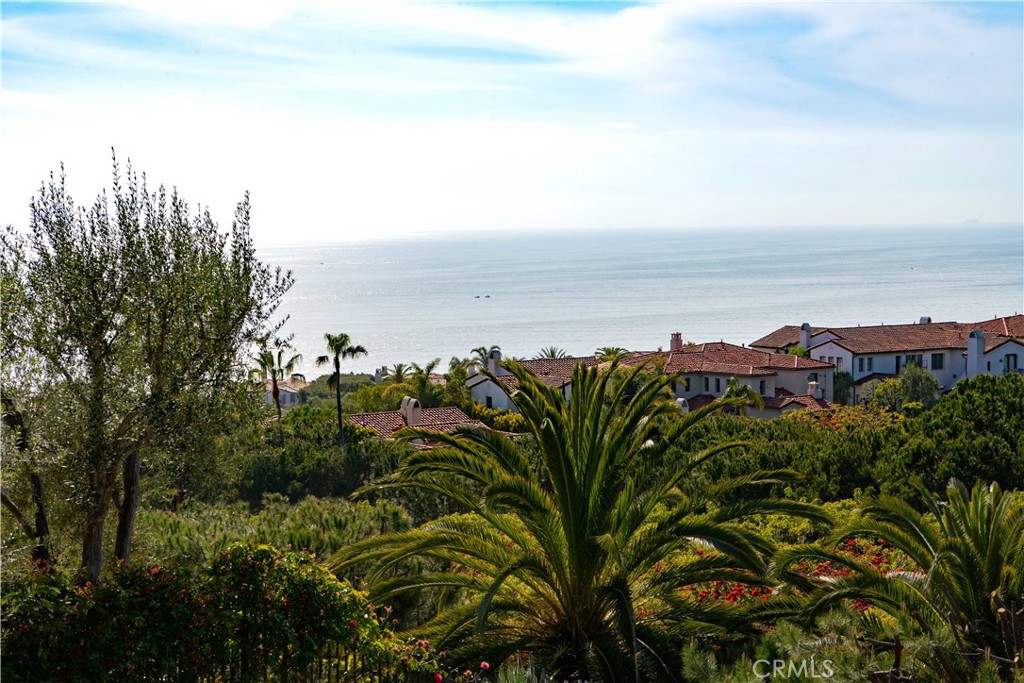 Nautilus (CCNA) - Residential Lease