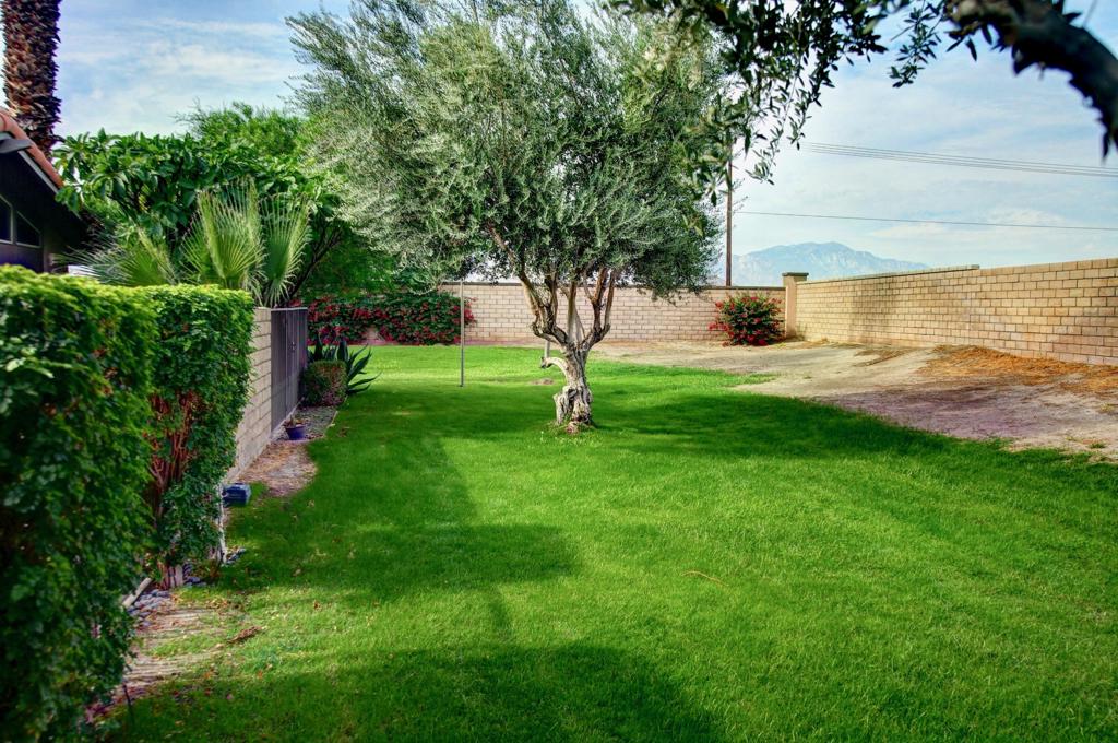 Indian Palms (31432) - Residential