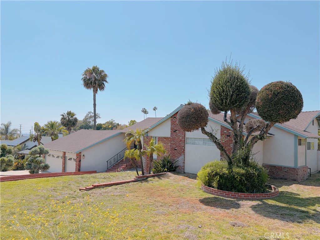 1231 Meadowland