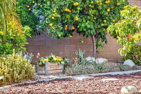 Tiny photo for 424 Roosevelt Court, Ventura, CA 93003 (MLS # V1-36586)
