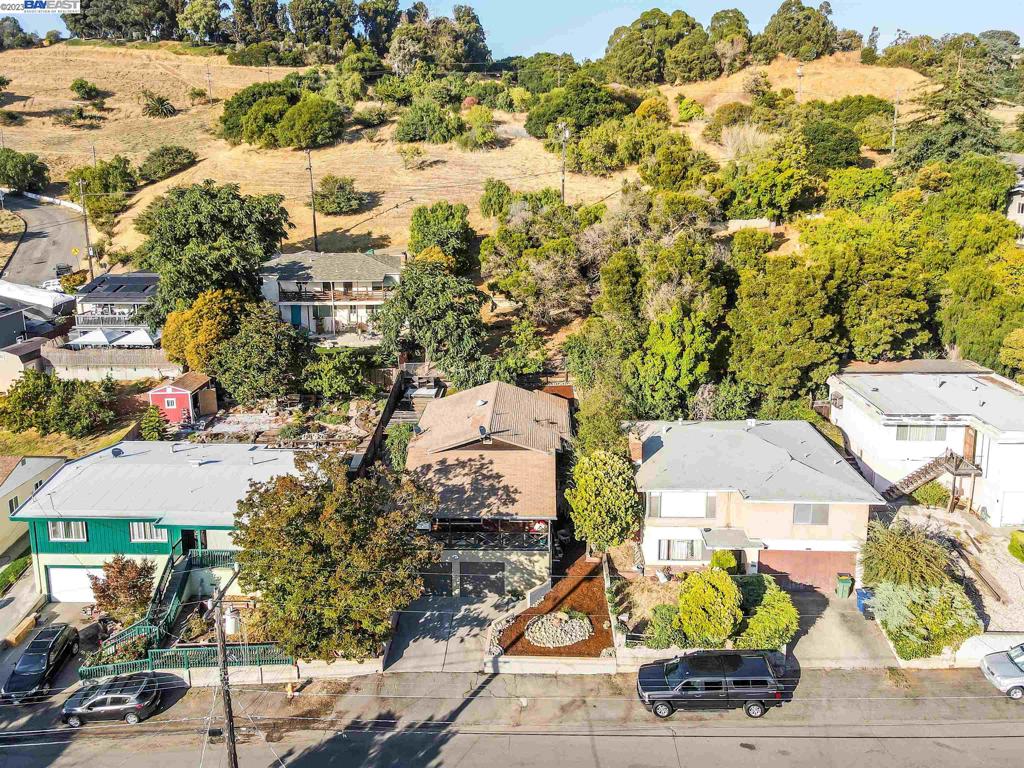 HAYWARD HILLS - Residential