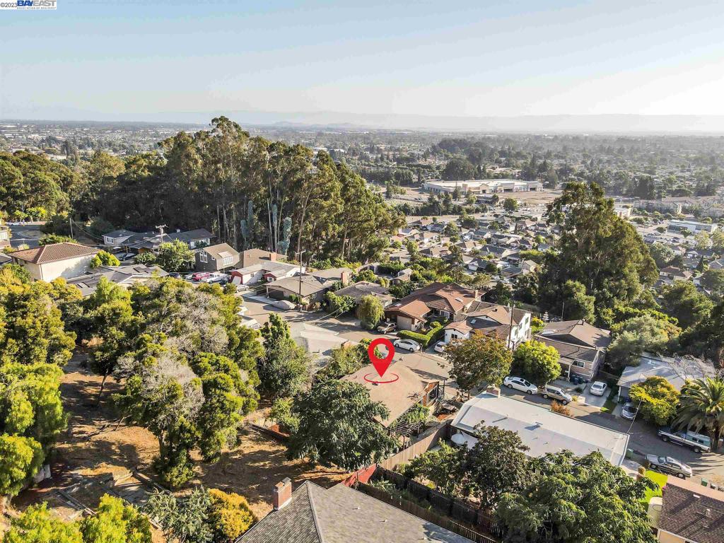 HAYWARD HILLS - Residential