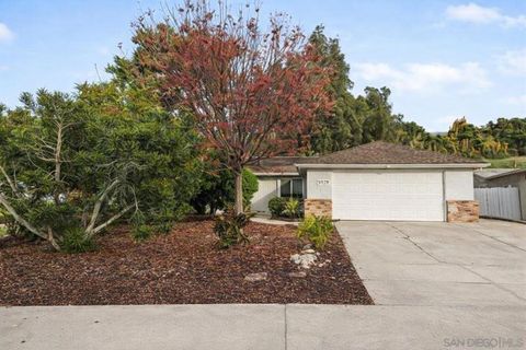 Photo of 9737 Roe Dr Dr, Santee, CA 92071 (MLS # 250046116SD)