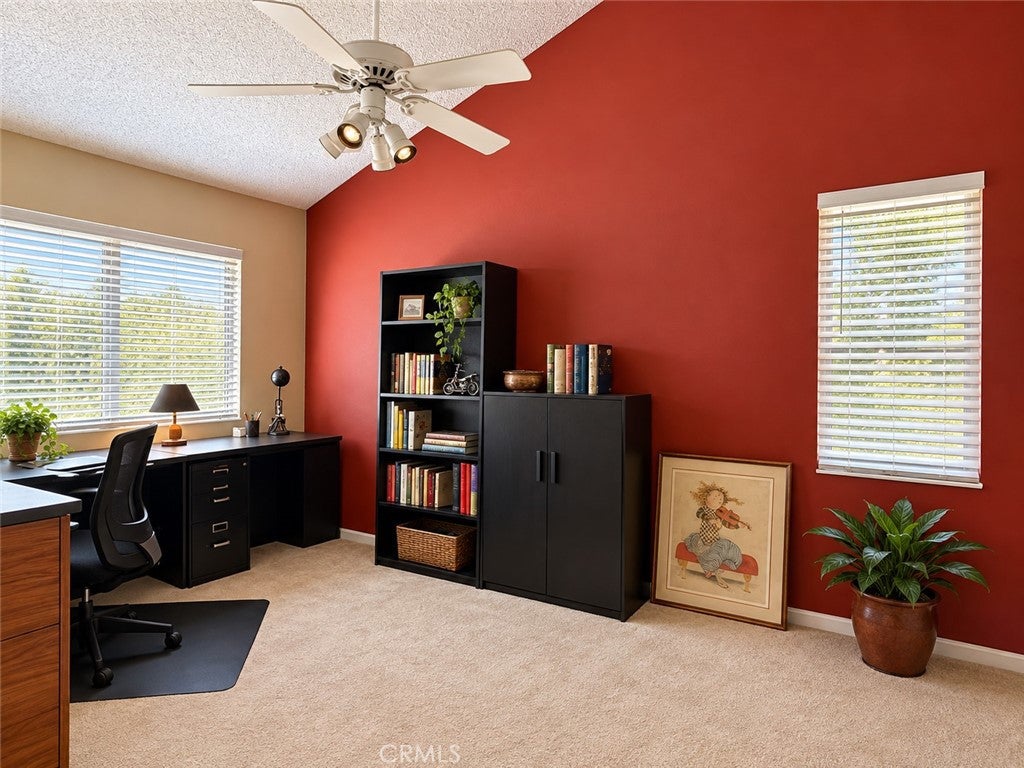26009 Alizia Canyon E