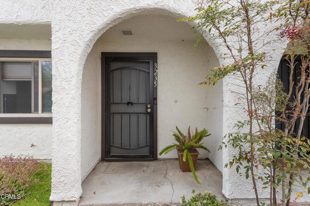 3235 Kelp Lane
